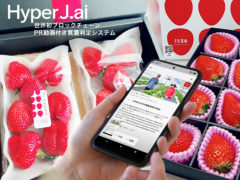 リーガルテックグループJapanMade社、 世界初、ブロックチェーンPR動画付き真贋判定システム「HyperJ.ai」 北海道ブランドの春いちご「けんたろう」に導入